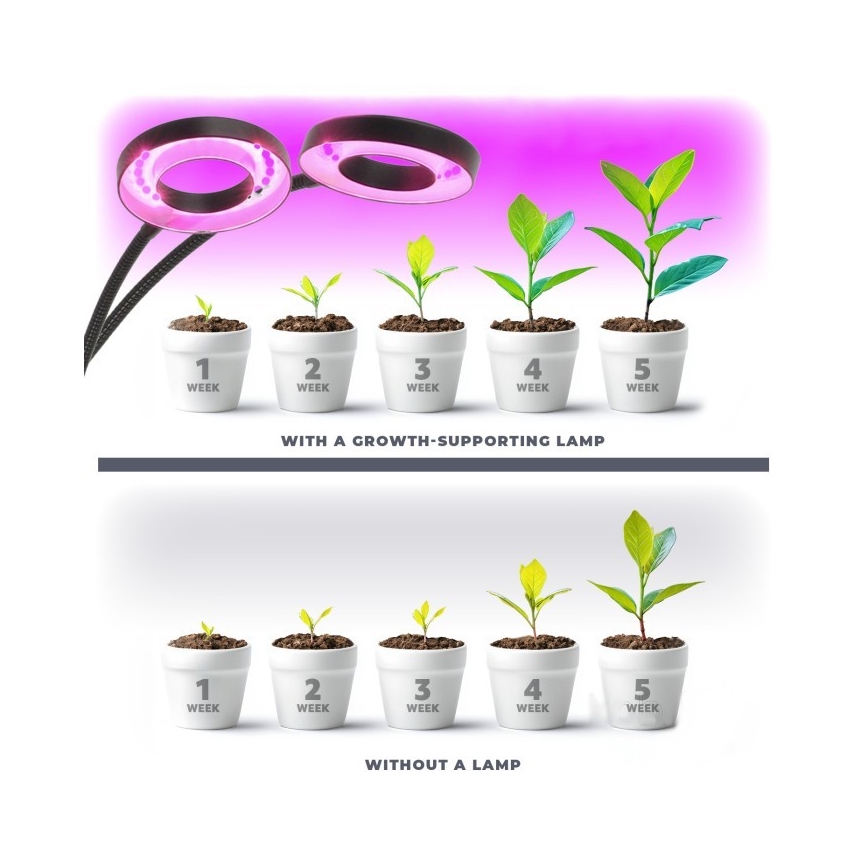 LED bordlampe med klemme til plantevækst dæmpbar og fleksibel VITARO 2xLED/4W/230V sort