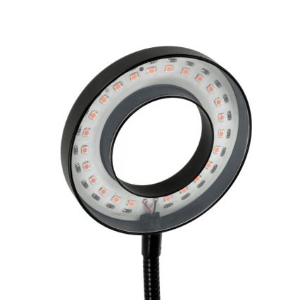 LED bordlampe med klemme til plantevækst dæmpbar og fleksibel VITARO 2xLED/4W/230V sort
