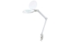 LED bordlampe med lup dæmpbar LED/10W/230V hvid