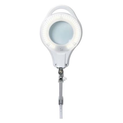 LED bordlampe med lup dæmpbar LED/10W/230V hvid