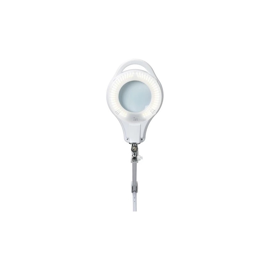 LED bordlampe med lup dæmpbar LED/10W/230V hvid