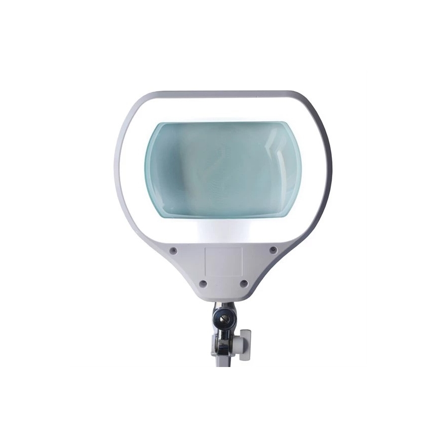 LED bordlampe med lup dæmpbar LED/12W/230V hvid