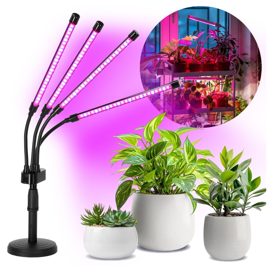 LED Dæmpbar fleksibel bordlampe til plantevækst VITARO 4xLED/10W/230V sort