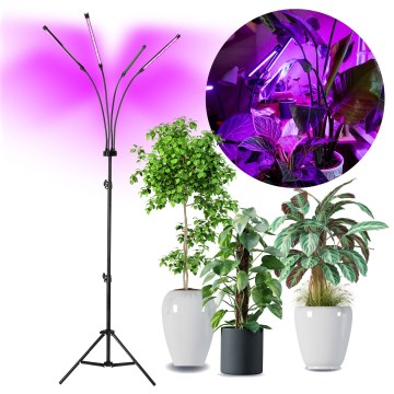 LED Dæmpbar flexible gulvlampe til plantevækst VITARO 4xLED/7,5W/230V sort