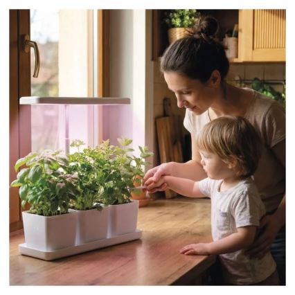 LED-dæmpbar indendørs lampe til dyrkning af planter GROW LED/7W/5V