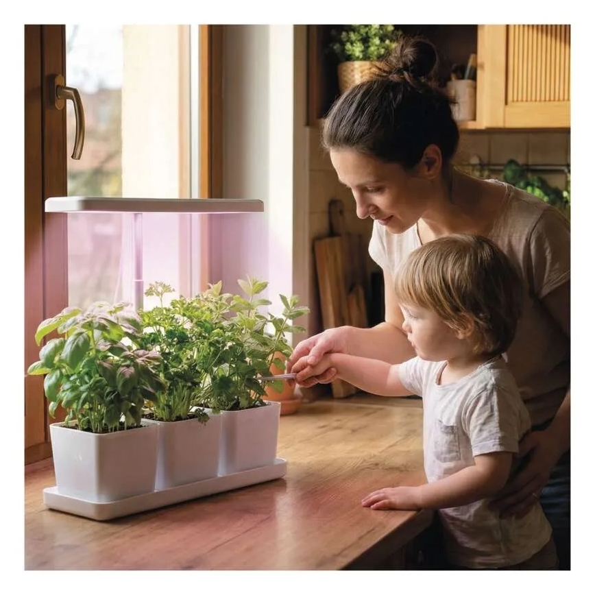 LED-dæmpbar indendørs lampe til dyrkning af planter GROW LED/7W/5V