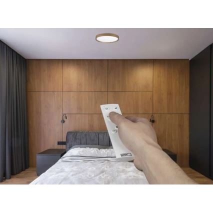 LED-dæmpbar loftlampe ILVI LED/30W/230V 2700–6500K Ø 40 cm beige + fjernbetjening