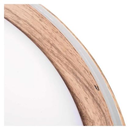 LED-dæmpbar loftlampe ILVI LED/30W/230V 2700–6500K Ø 40 cm beige + fjernbetjening