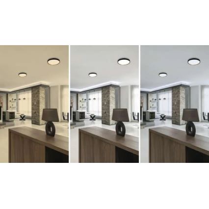 LED dæmpbar loftlampe ILVI LED/30W/230V 2700-6500K Ø 40 cm sort/beige + fjernbetjening