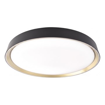 LED dæmpbar loftlampe ILVI LED/30W/230V 2700-6500K Ø 40 cm sort/messing + fjernbetjening
