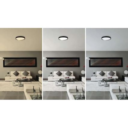 LED dæmpbar loftlampe ILVI LED/30W/230V 2700-6500K Ø 40 cm sort/messing + fjernbetjening