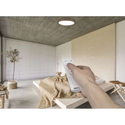 Dæmpbar LED-loftlampe ILVI, 45 W, 230 V, 2700–6500 K, Ø 50 cm, i trælook + fjernbetjening