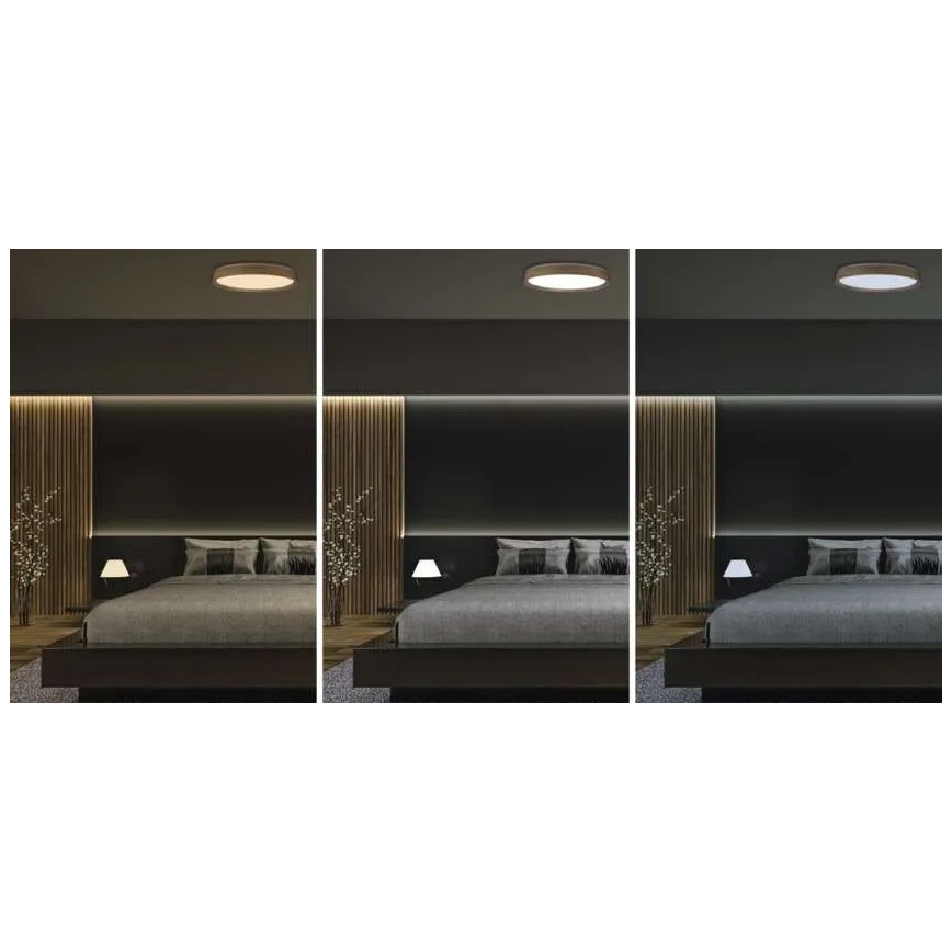 Dæmpbar LED-loftlampe ILVI, 45 W, 230 V, 2700–6500 K, Ø 50 cm, i trælook + fjernbetjening
