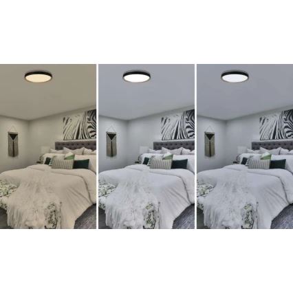 Dæmpbar LED-loftlampe ILVI LED/45W/230V 2700–6500 K Ø 50 cm sort/beige + fjernbetjening