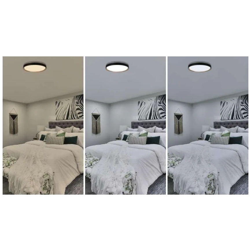 Dæmpbar LED-loftlampe ILVI LED/45W/230V 2700–6500 K Ø 50 cm sort/beige + fjernbetjening