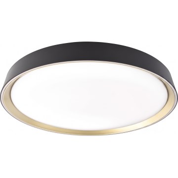 LED-dæmpbar loftlampe ILVI LED/45W/230V 2700-6500K Ø 50 cm sort/messing + fjernbetjening