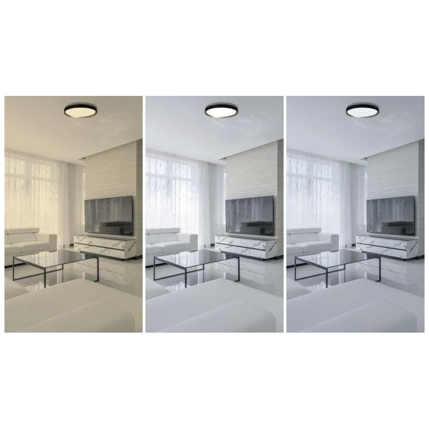 LED-dæmpbar loftlampe ILVI LED/45W/230V 2700-6500K Ø 50 cm sort/messing + fjernbetjening