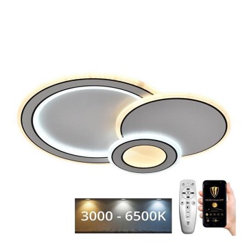 LED Dæmpbar loftlampe LED/40W/230V 3000-6500K + fjernbetjening