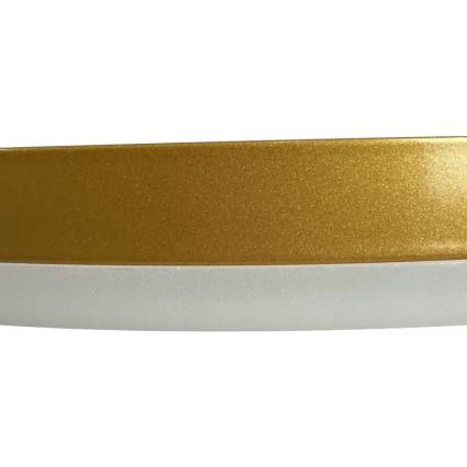 LED Dæmpbar loftlampe LED/40W/230V 3000-6500K guld + fjernbetjening