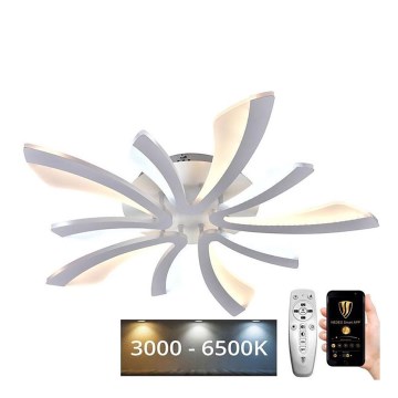 LED Dæmpbar loftlampe LED/55W/230V 3000-6500K + fjernbetjening
