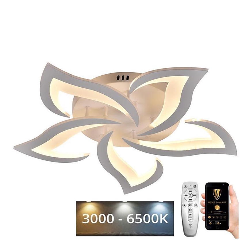 LED Dæmpbar loftlampe LED/55W/230V 3000-6500K + fjernbetjening