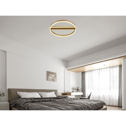 LED-dæmpbar loftlampe LED/60W/230V 3000-6500K + fjernbetjening