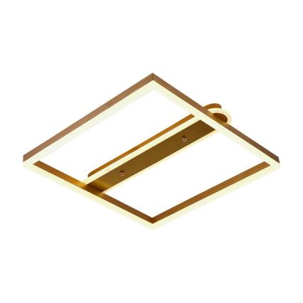 LED Dæmpbar loftlampe LED/60W/230V 3000-6500K + fjernbetjening