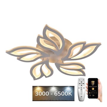 LED Dæmpbar loftlampe LED/65W/230V 3000-6500K + fjernbetjening