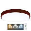 LED Dæmpbar loftlampe LENA LED/60W/230V 3000-6500K eg + fjernbetjening