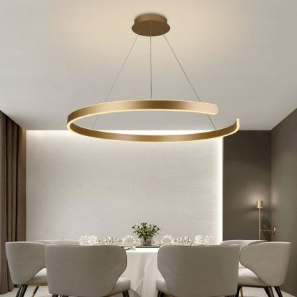 LED dæmpbar loftlampe på kabel LED/100W/230V 3000-6500K Ø 80 cm + fjernbetjening