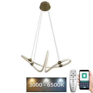 LED dæmpbar loftlampe på kabel LED/25W/230V 3000-6500K + fjernbetjening