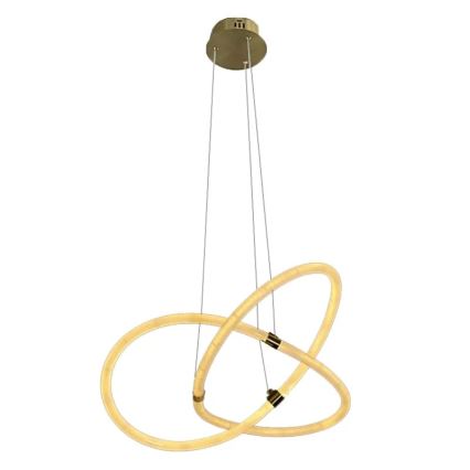 LED dæmpbar loftlampe på kabel LED/30W/230V 3000-6500K Ø 49,9 cm + fjernbetjening
