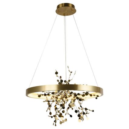 LED dæmpbar loftlampe på kabel LED/40W/230V 3000-6500K guld + fjernbetjening