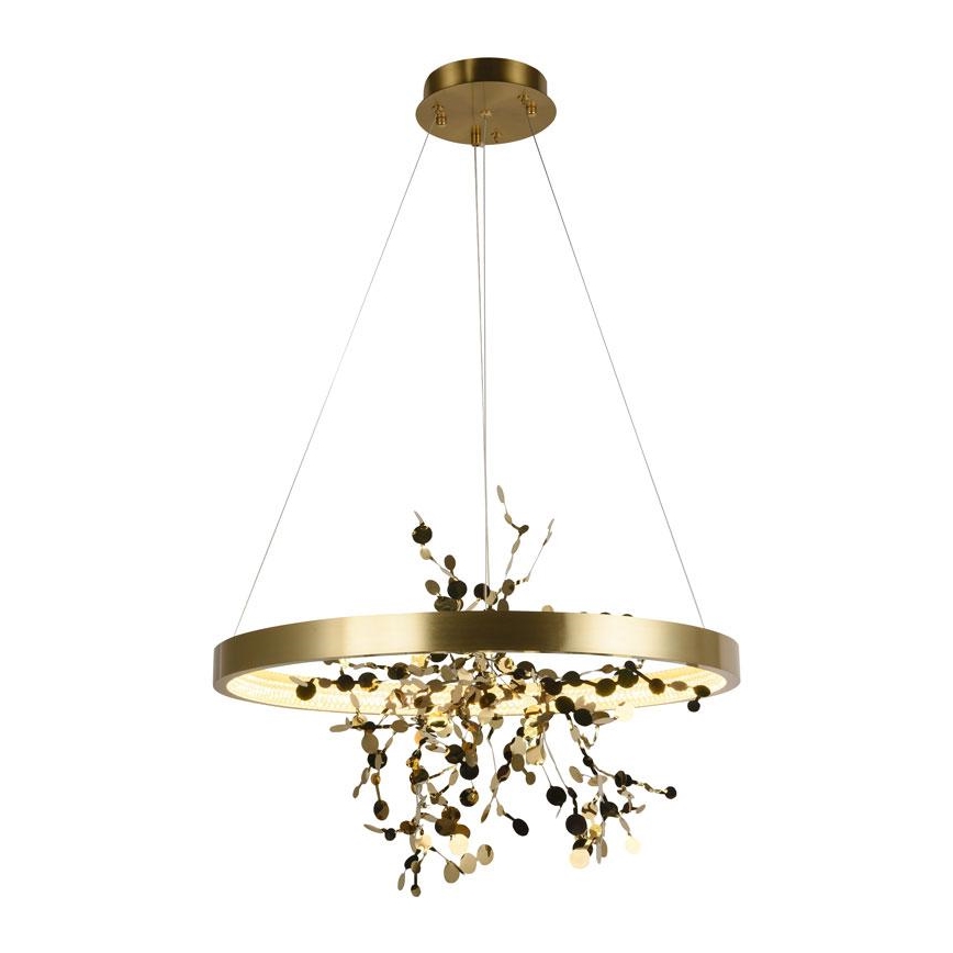 LED dæmpbar loftlampe på kabel LED/40W/230V 3000-6500K guld + fjernbetjening