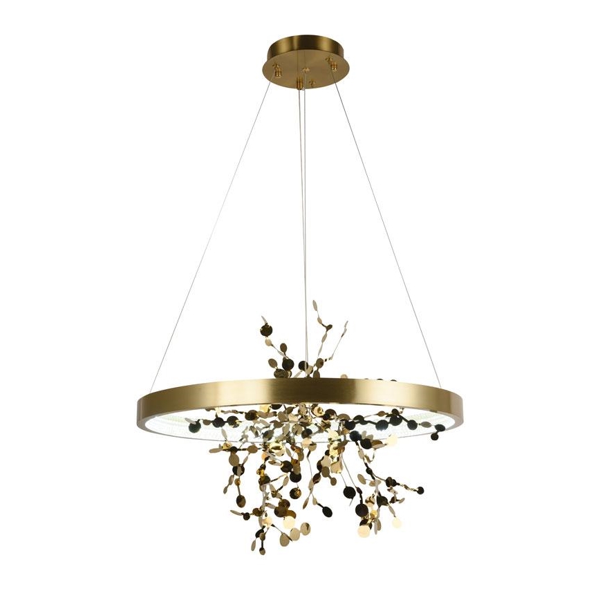 LED dæmpbar loftlampe på kabel LED/40W/230V 3000-6500K guld + fjernbetjening