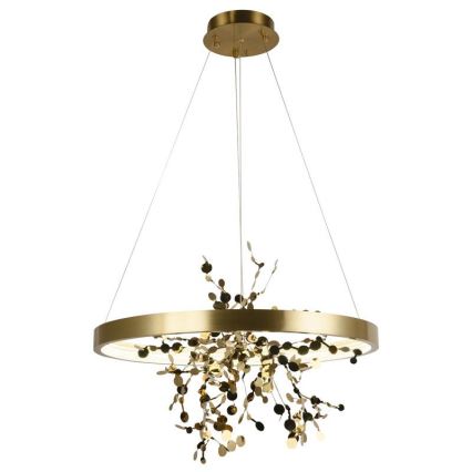 LED dæmpbar loftlampe på kabel LED/40W/230V 3000-6500K guld + fjernbetjening