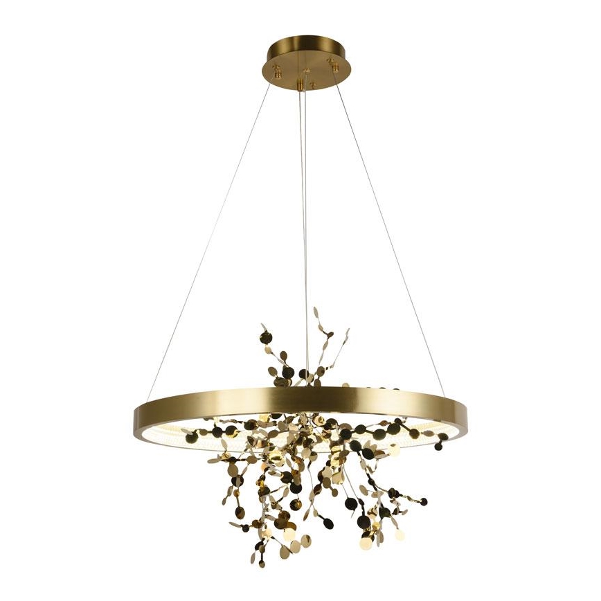 LED dæmpbar loftlampe på kabel LED/40W/230V 3000-6500K guld + fjernbetjening