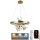 LED dæmpbar loftlampe på kabel LED/40W/230V 3000-6500K guld + fjernbetjening