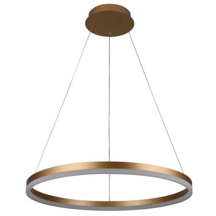 LED dæmpbar loftlampe på kabel LED/42W/230V 3000-6500K Ø 60 cm + fjernbetjening