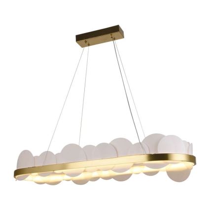 LED dæmpbar loftlampe på kabel LED/50W/230V 3000-6500K guld + fjernbetjening