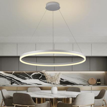 LED dæmpbar loftlampe på kabel LED/55W/230V 3000-6500K Ø 80 cm + fjernbetjening