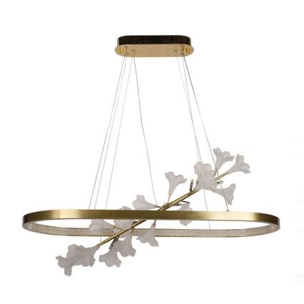 LED dæmpbar loftlampe på kabel LED/55W/230V 3000-6500K + fjernbetjening