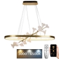 LED dæmpbar loftlampe på kabel LED/65W/230V 3000-6500K + fjernbetjening