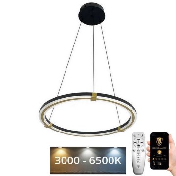 LED dæmpbar loftlampe på kabel LED/75W/230V 3000-6500K Ø 60 cm + fjernbetjening