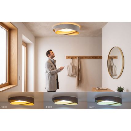 Dæmpbar LED-loftlampe SMART GALAXY MODERN LED/24W/230V 3000-6500K Ø 55 cm grå/beige/guld + fjernbetjening