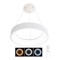 LED Dæmpbar loftslampe på kabel NEST LED/40W/230V 3000-6500K hvid + fjernbetjening