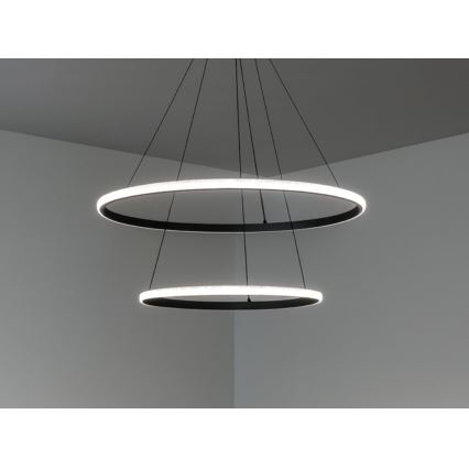 LED-dæmpbar pendel på wire LED/55W/230V 3000–6500K Ø 60 cm + fjernbetjening