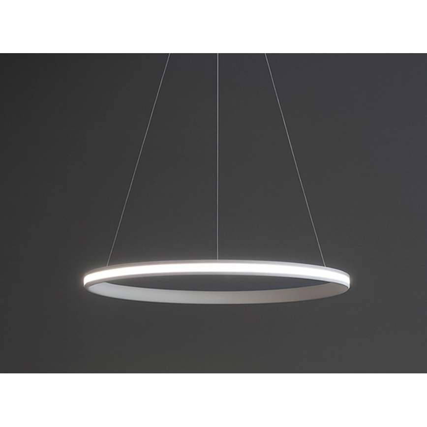 Dæmpbar LED-pendel på wire LED/55W/230V 3000-6500K Ø 60 cm + fjernbetjening