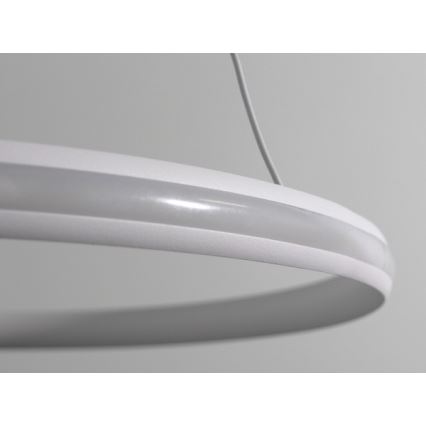 Dæmpbar LED-pendel på wire LED/55W/230V 3000-6500K Ø 60 cm + fjernbetjening