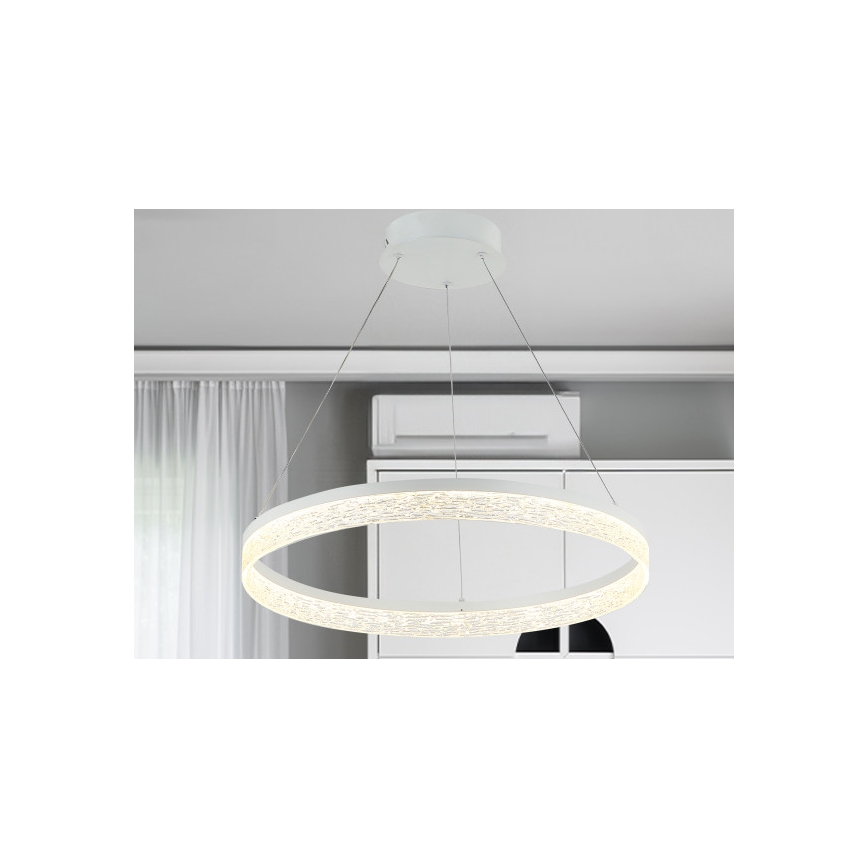 Dæmpbar LED-pendel på wire ALIANZ LED/60W/230V 3000-6000K Ø 80 cm + fjernbetjening